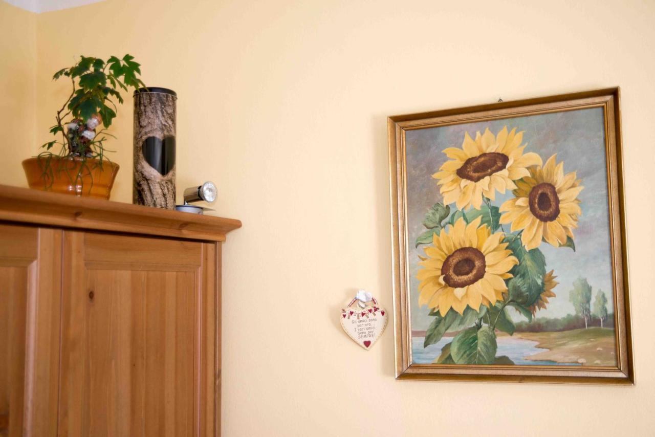Ferienwohnung Kim Schladming Εξωτερικό φωτογραφία